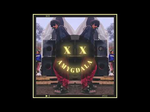 XX - AMYGDALA