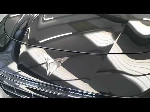 Cupra Terramar TRIBE LIMITED EDITION - Image 2