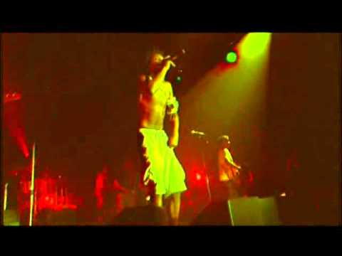 Videoclip de Peligro (Live) — Manu Chao