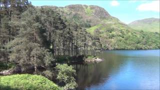 The Fool On The Hill