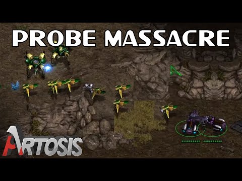 The Destruction Of A Protoss's Economy.