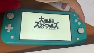 お年玉でソフトとファイターパスを同時に購入した弟。※音調節してご視聴ください。