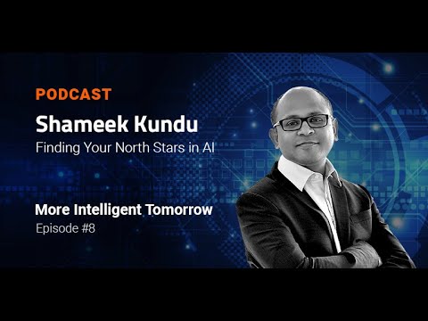Finding your North Stars in AI - Shameek Kundu | More Intelligent Tomorrow #008