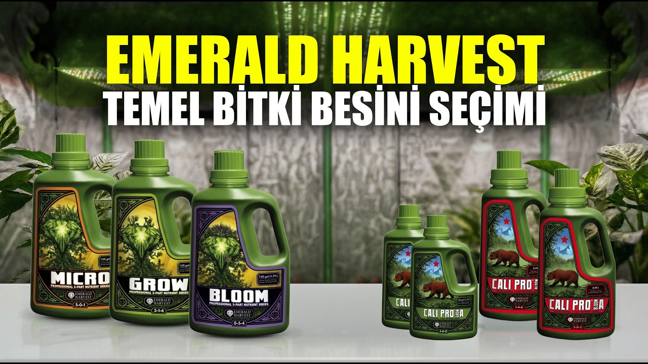 Emerald Harvest 3 Part Starter Kit 950 ml Başlangıç Besin Seti