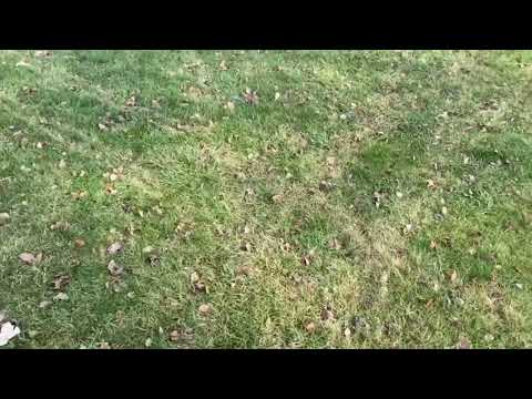 YouTube Video Cover