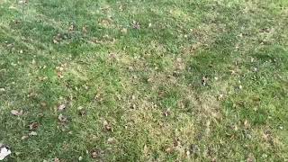 Tips on how to make the most of a robot mower