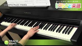TRACE / WANIMA : ピアノ(ソロ) / 中級