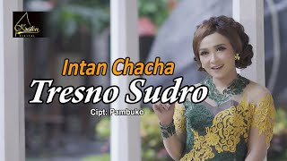 Download lagu Intan Chacha - Tresno Sudro mp3