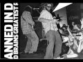 Bad Brains - Re-Ignition