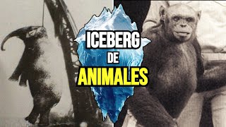 EL ICEBERG de CASOS OCURRIDOS con ANIMALES