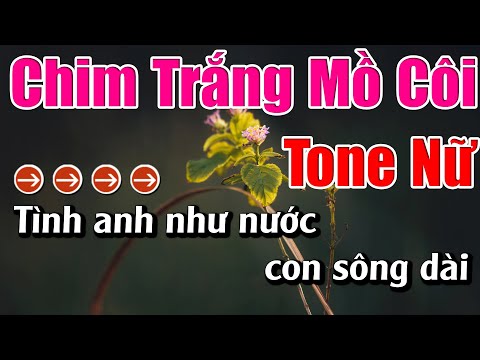 Chim Trắng Mồ Côi Karaoke Tone Nữ Karaoke Lâm Beat - Beat Mới