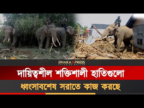 ইন্দোনেশিয়ায় ভয়াবহ বন্যার পর ধ্বংসাবশেষ পরিষ্কার করতে হাতি মোতায়েন