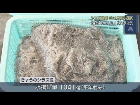 YouTube Video シラス漁が解禁　初漁でのシラスの水揚げ量はおよそ１トン　シラス漁は２０２７年１月まで　静岡・富士市田子の浦港