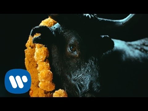 Video de Black Bull