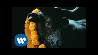 Musik-Video-Miniaturansicht zu Black Bull Songtext von Foals