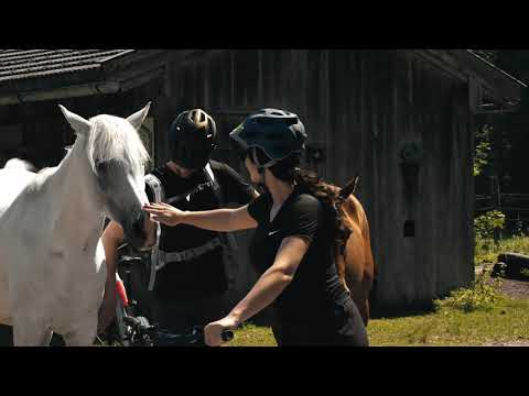 Appartements Schrambacherhof - wunderschönes Naturpanorama und Erholung pur am Achensee in Tirol