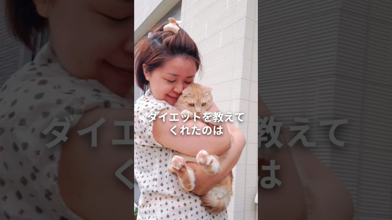 ダイエット、運動と食事どっちが大事？答えは愛猫が教えてくれました。#アラフォーダイエット #食事改善 #あすけん #猫のいる暮らし #食べて痩せる #shorts