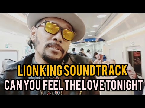 Can you feel the love tonight - Cover by JOEL KRIWIL