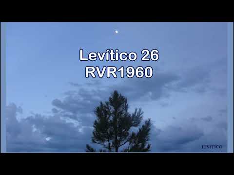 Levítico 26 - 27