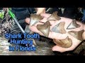 Collecting Megalodon Shark Teeth in the Creek | Hunting Fossils in Florida