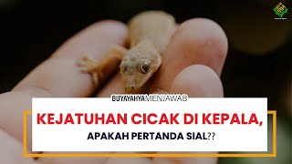 Download lagu Kejatuhan Cicak di Kepala, Apakah Pertanda Sial❓❓- Buya Yahya Menjawab mp3 Download lagu Kejatuhan Cicak di Kepala, Apakah Pertanda Sial❓❓- Buya Yahya Menjawab mp3