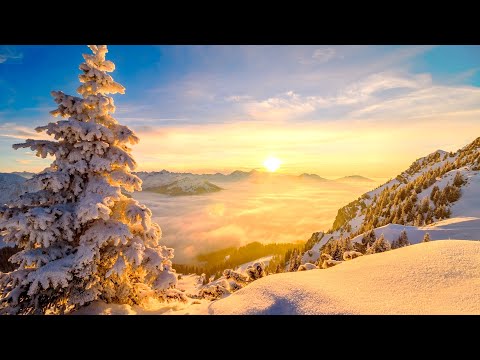 Giuseppe Ottaviani feat. Stephen Pickup - No More Alone (Original Mix) || w/ Lyrics