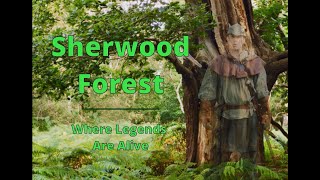 Sherwood Forest - Where Legends Are Alive