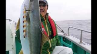 進誠丸 大原 の釣り物やアクセスの情報