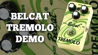 Video thumbnail for Belcat Tremolo TRM-507 Demo by Ryan Lutton