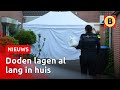Twee doden in huis in Den Bosch, buurtbewoners in shock | Omroep Brabant