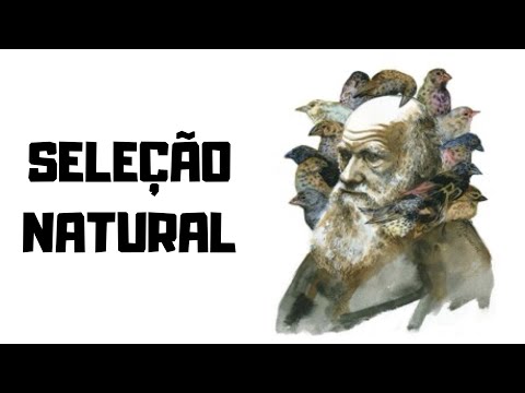 Seleção Natural e Evoluçãol! Ecologia evolutiva: o que é e quais as 5 proposições?