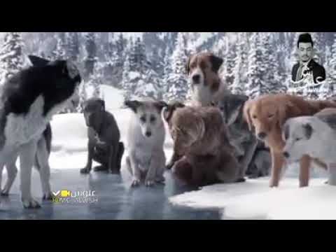 ٢٢ آب، ٢٠٢٠