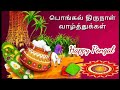 Happy Pongal Whatsapp Status Tamil 2022 Trend Pongal Whatsapp Status Pongal Wishes பொங்க�
