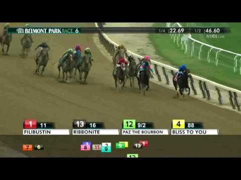 Filibustin - 2016 Joseph A Gimma Stakes