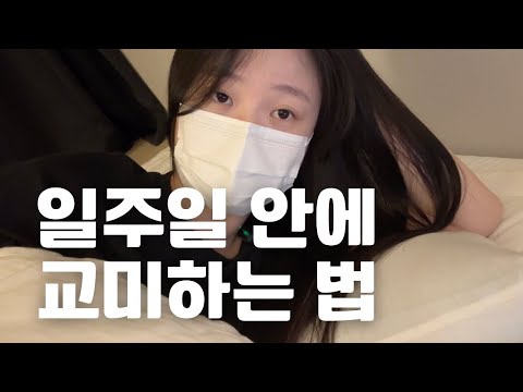 아이콘