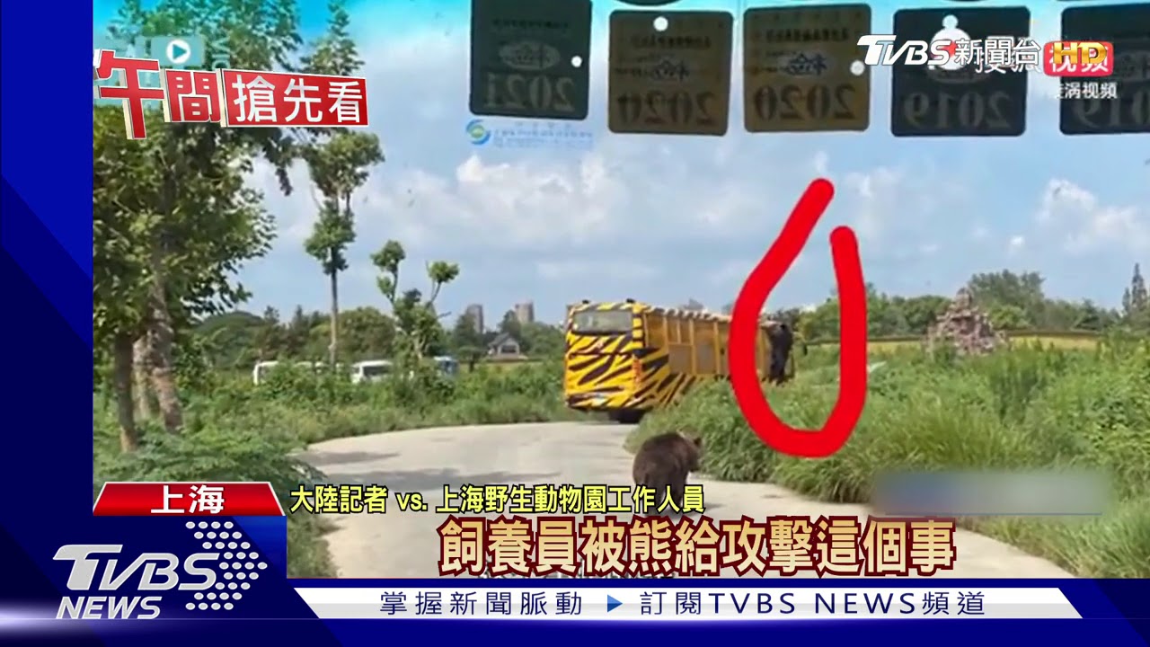 陸飼養員遭熊群撕咬致死　動物園遊客目睹