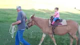 preview picture of video 'Sedona rides Grandpa Boender's Mule (Pony)'