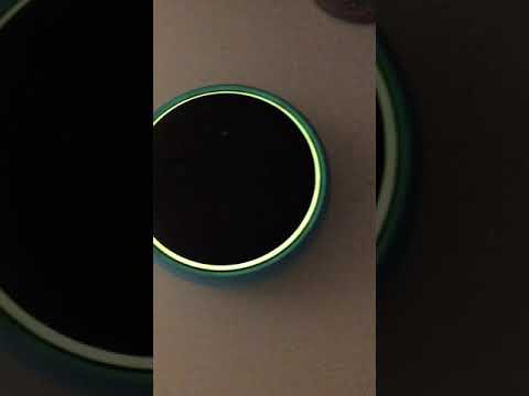 Alexa sings happy birthday to you!