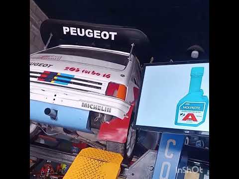 Peugeot 205 T16 réplica Río Segundo Córdoba