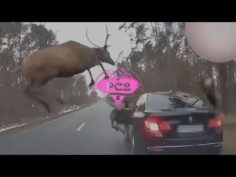 МАЛЬБЭК and Erika Lundmoen