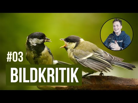 Bildkritik - Mein Feedback zu euren Naturfotos (Folge 3)