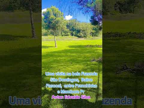 Entre Pranchinha e Mambore Pr