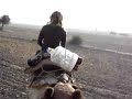 Camel safari Jaisalmer
