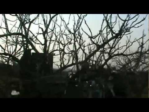 التصدي للطيران الحربي من قبل كتيبة البراء المقاتلة في كفر زيتا في ريف حماة