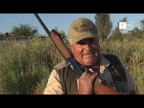 Carbón, Chocolate y Oro