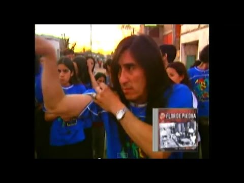 Flor de Piedra - La Jarra Loca