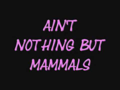 ain't nothing but mammals