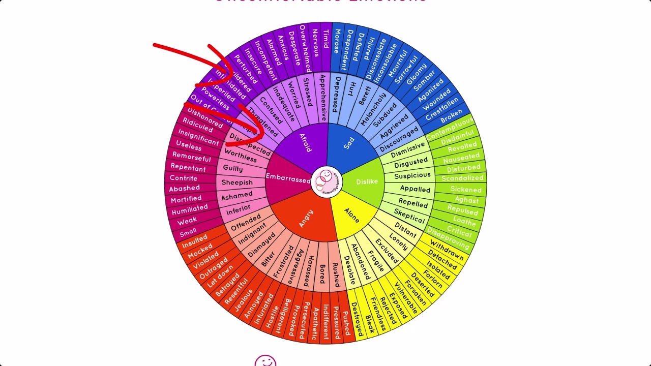 About the HS Emotion Wheels