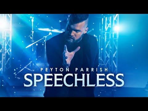 Speechless - Aladdin & Naomi Scott  (Disney Goes Rock) Peyton Parrish Cover