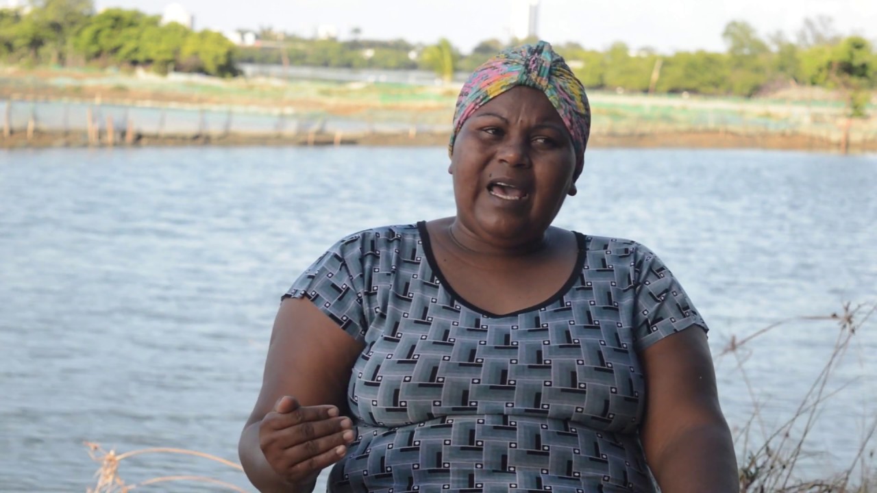 Documentário l Marisqueiras da Ilha de Deus